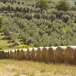 I Melograni * Ferentillo