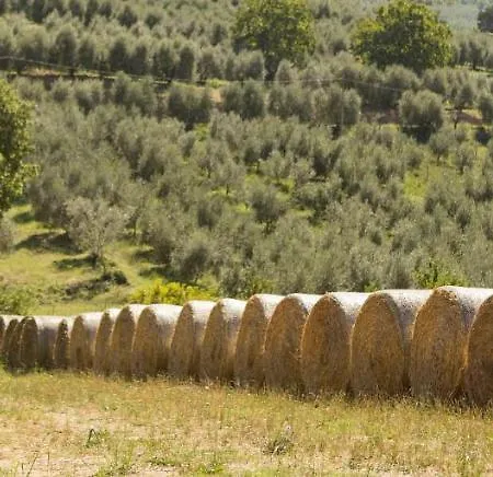 I Melograni * Ferentillo