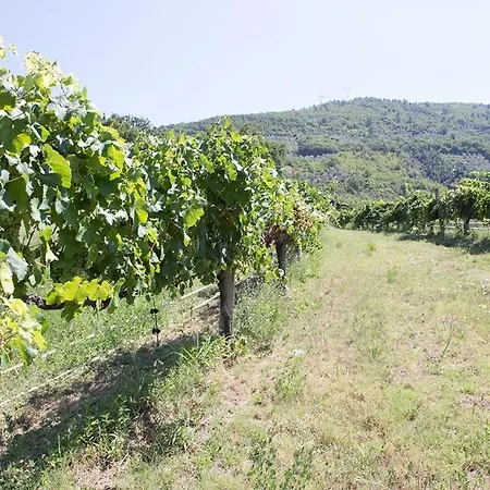 I Melograni Vakantieboerderij Ferentillo