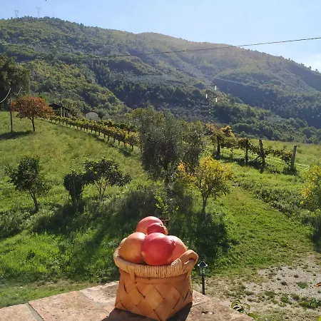 I Melograni Vakantieboerderij *