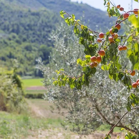 I Melograni Alloggio per agriturismo