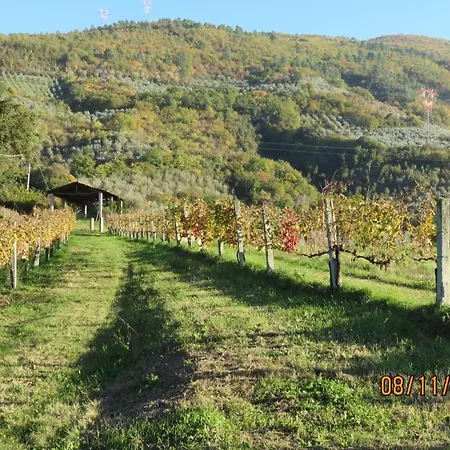 Vakantieboerderij I Melograni Ferentillo