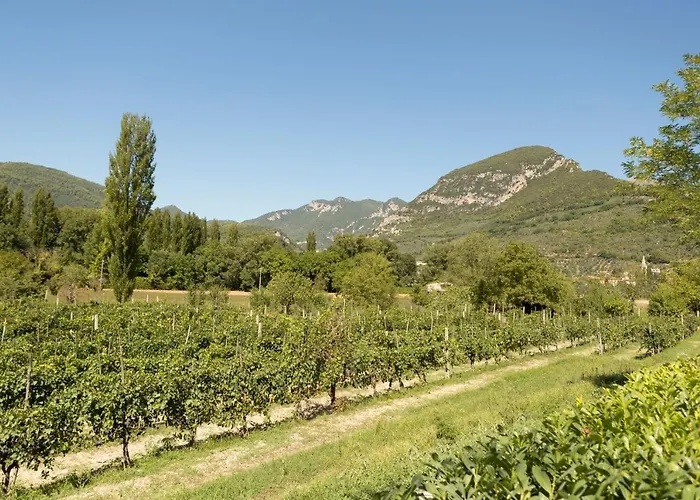 Alojamento de Turismo Rural I Melograni *